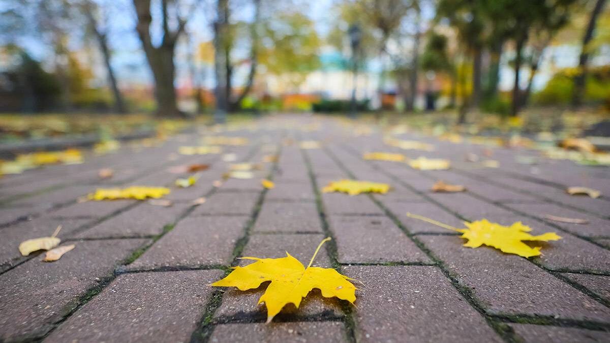    Фото: Софья Сандурская / АГН Москва