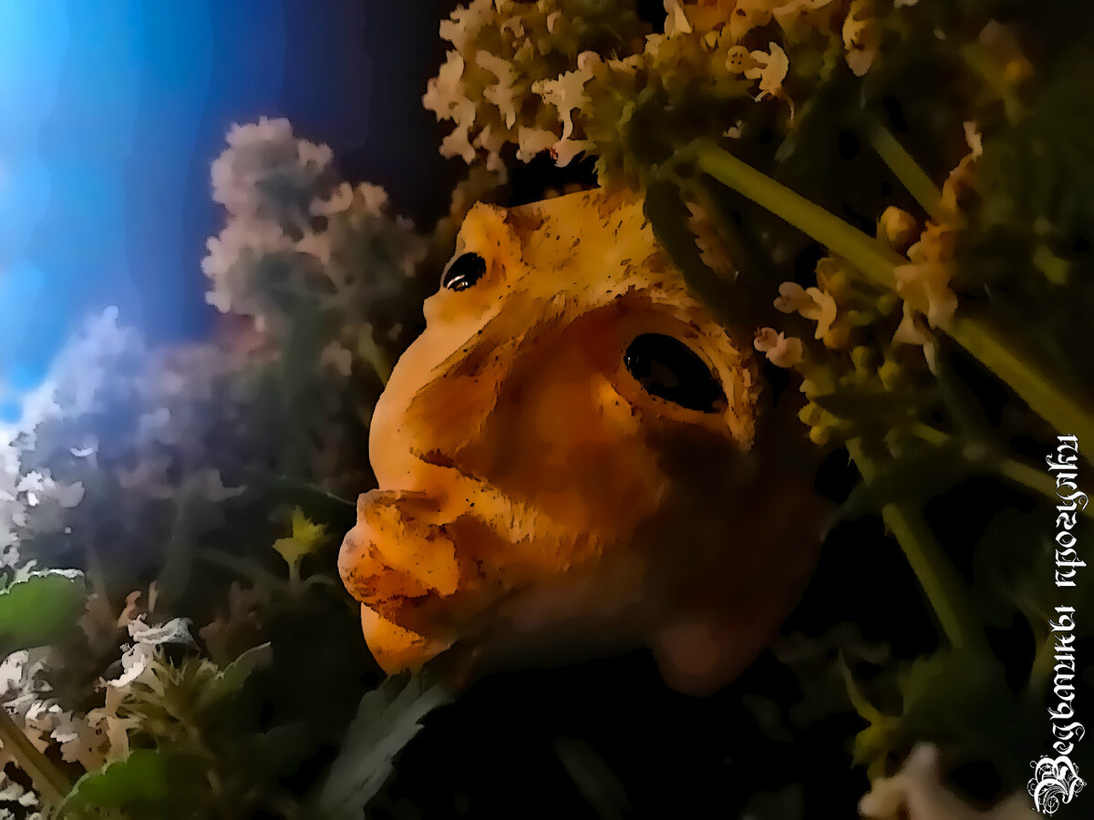 Кукла-Жироед: https://www.livemaster.ru/topic/3670762