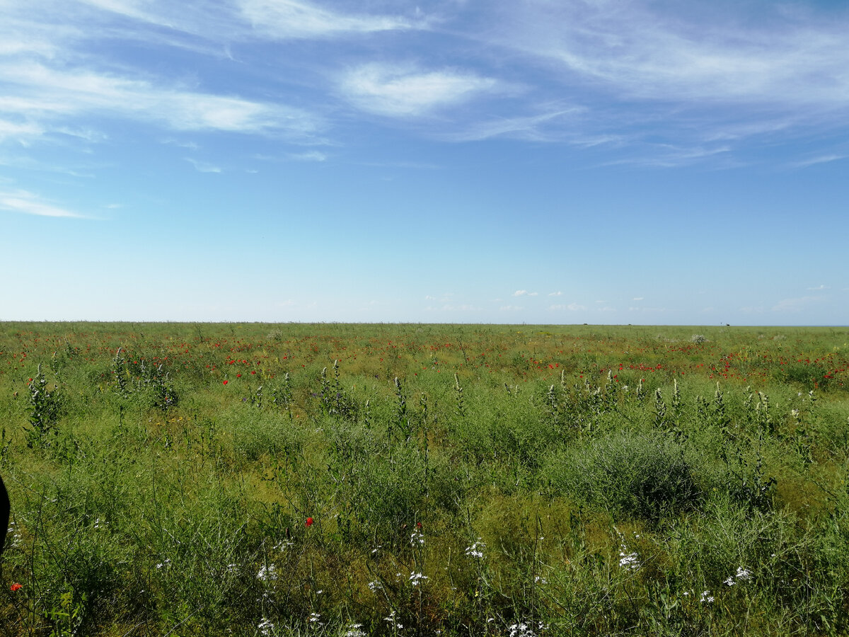 Поле, где раньше бабы рожали, в подол заворачивали ребёнка и дальше шли пахать, по отзывам некоторых "умных" из интернета 😂😂😂