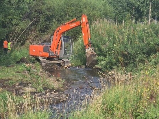     Фото: Министерство природных ресурсов и экологии Карелии