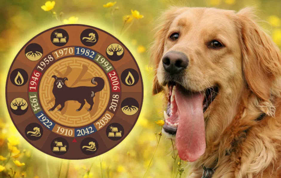 Фото из открытого источника Яндекс