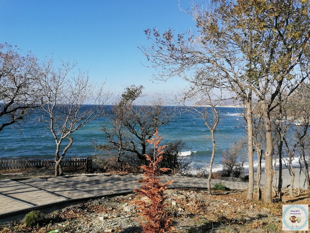 Второй вход на пляж. Фото: ноябрь 2022 г. 