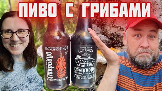 ПИВО с ГРИБАМИ зачем и для кого Стародубъ - пиво с чагой и красное карамельное.