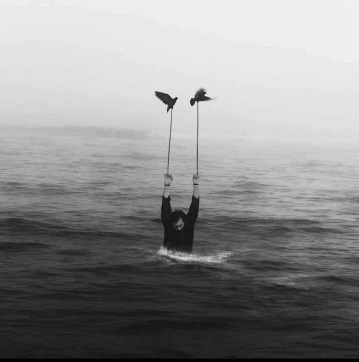 Наша работа в одном фото. Птицы-спасители — это, конечно, физический терапевт, логопед, психолог, эрготерапевт… Фото из открытых источников.