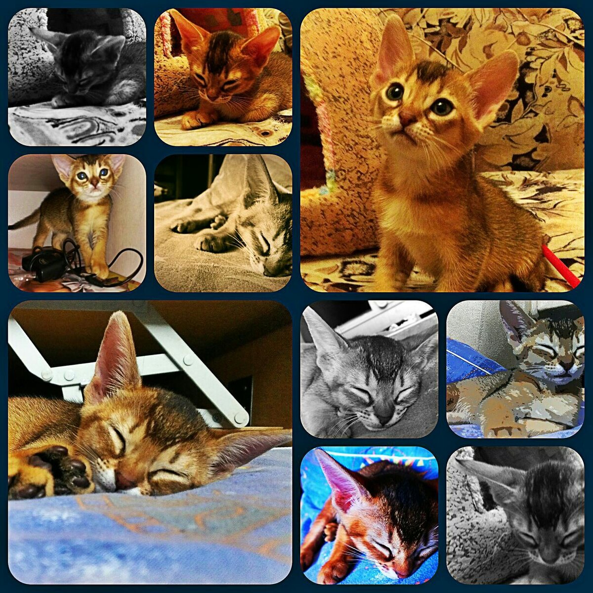 Фото из личного архива