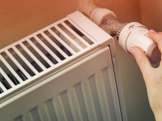     фото владимирской мэрии