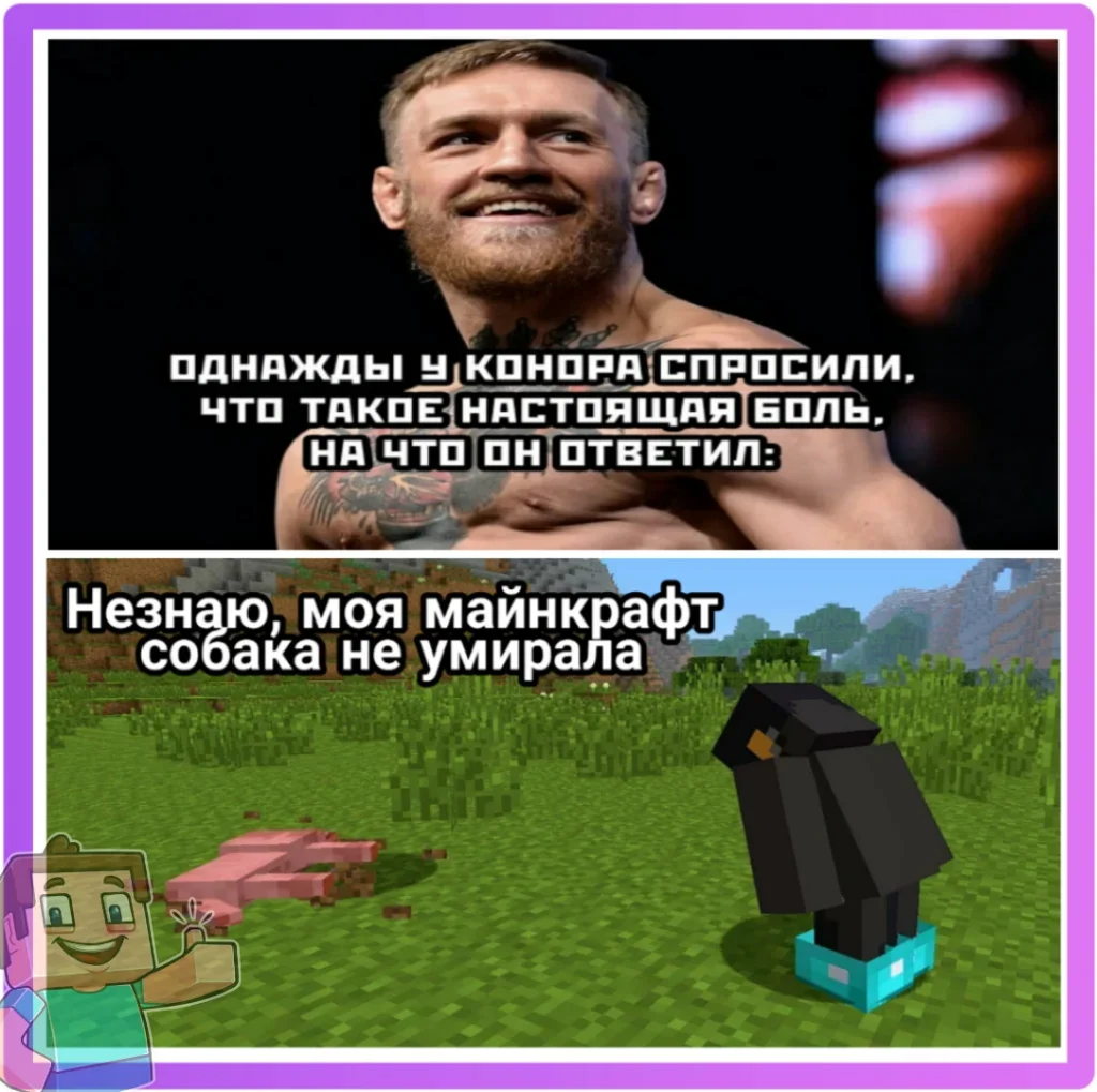 Смешные картинки майнкрафт без надписей
