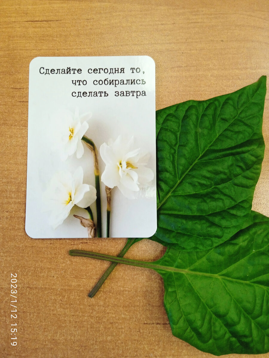 Подсказка Вселенной