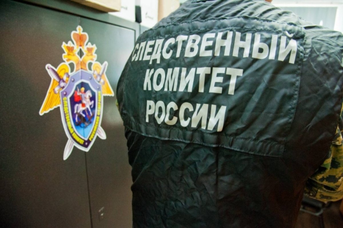    Путин поздравил сотрудников СК РФ с 12-летием образования ведомства