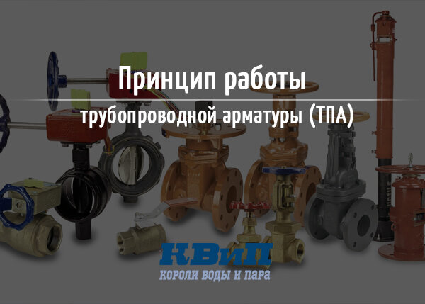 короли воды и пара