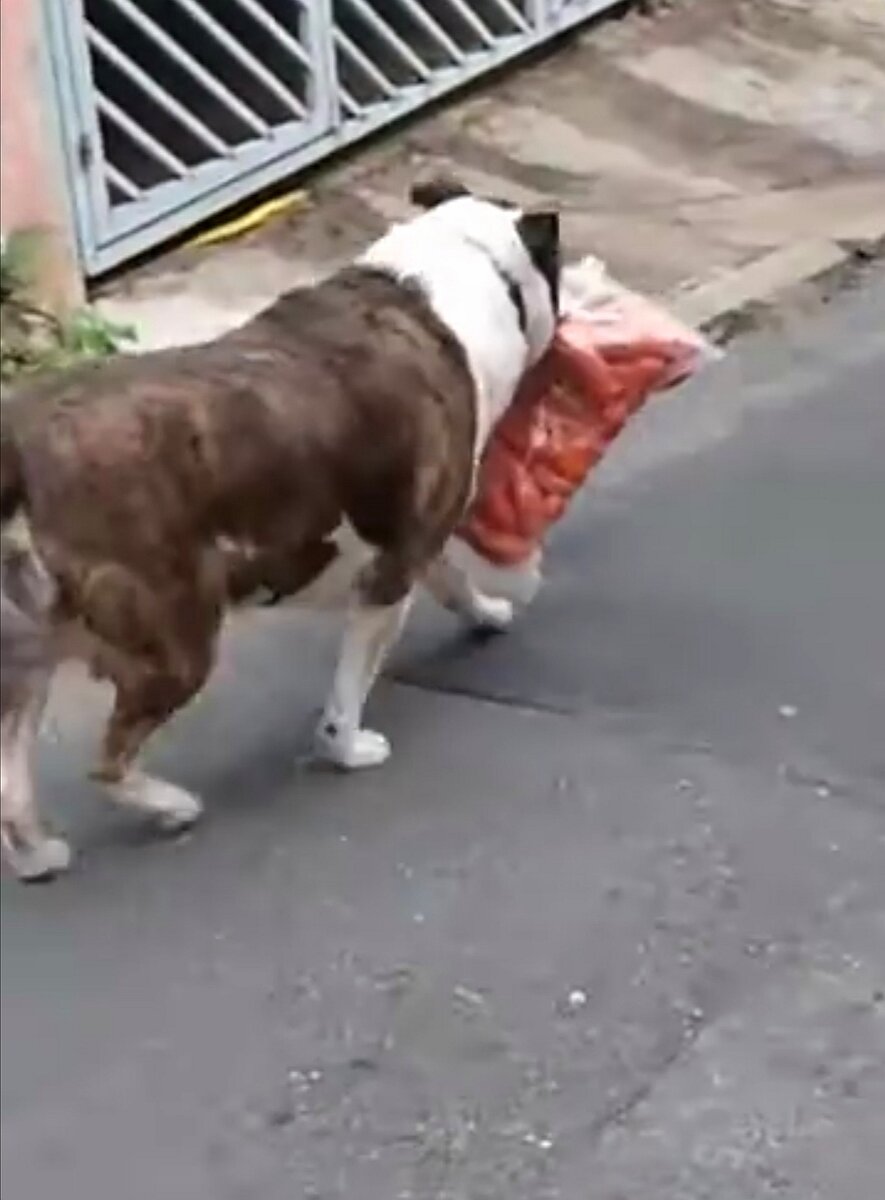 Скриншот из видео