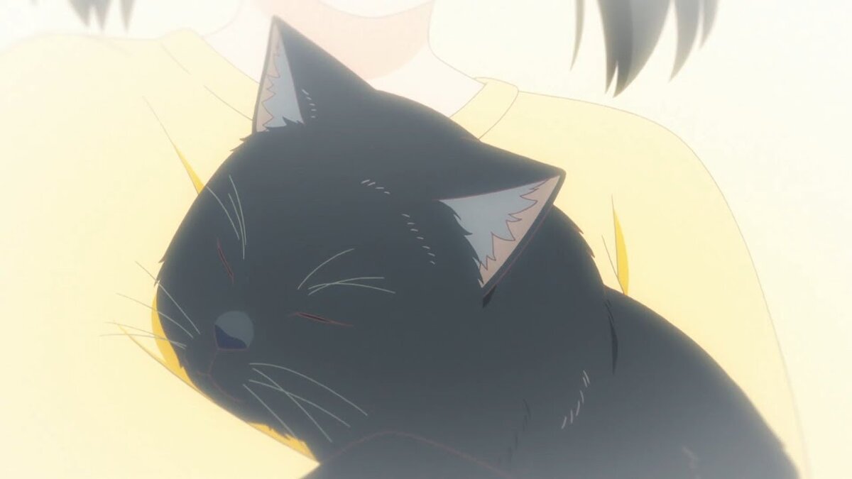 Приключение кота Мауси