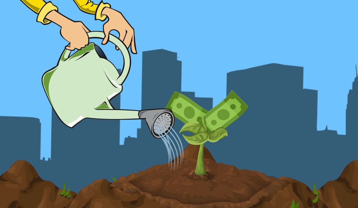 Как правильно инвестировать денежные средства и их приумножить? Фото: pixabay.com