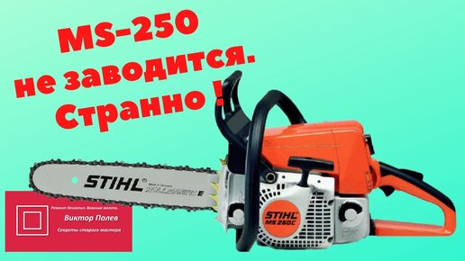 Ремонт бензопилы Штиль 361 (Stihl) в Санкт-Петербурге — Звоните: 344-44-44