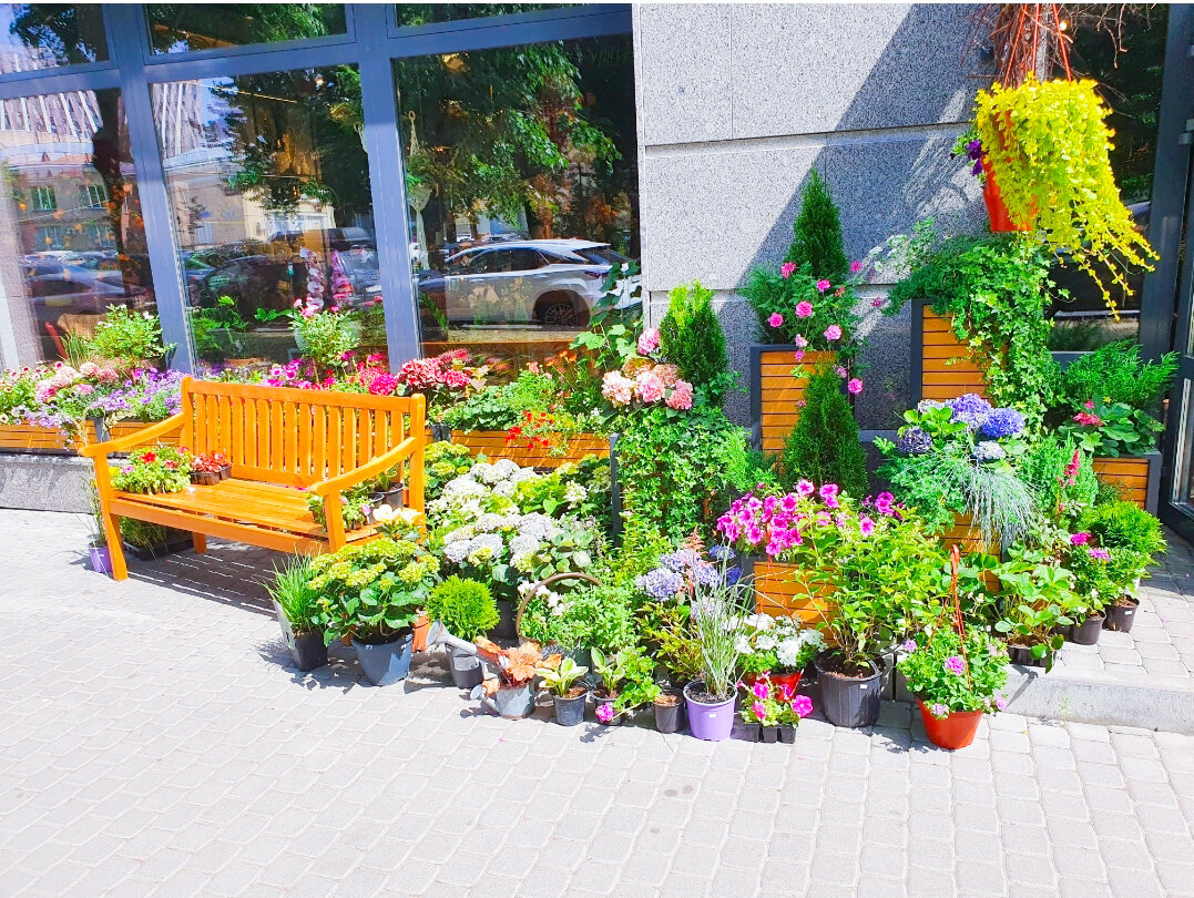 Вход в Garnet flower