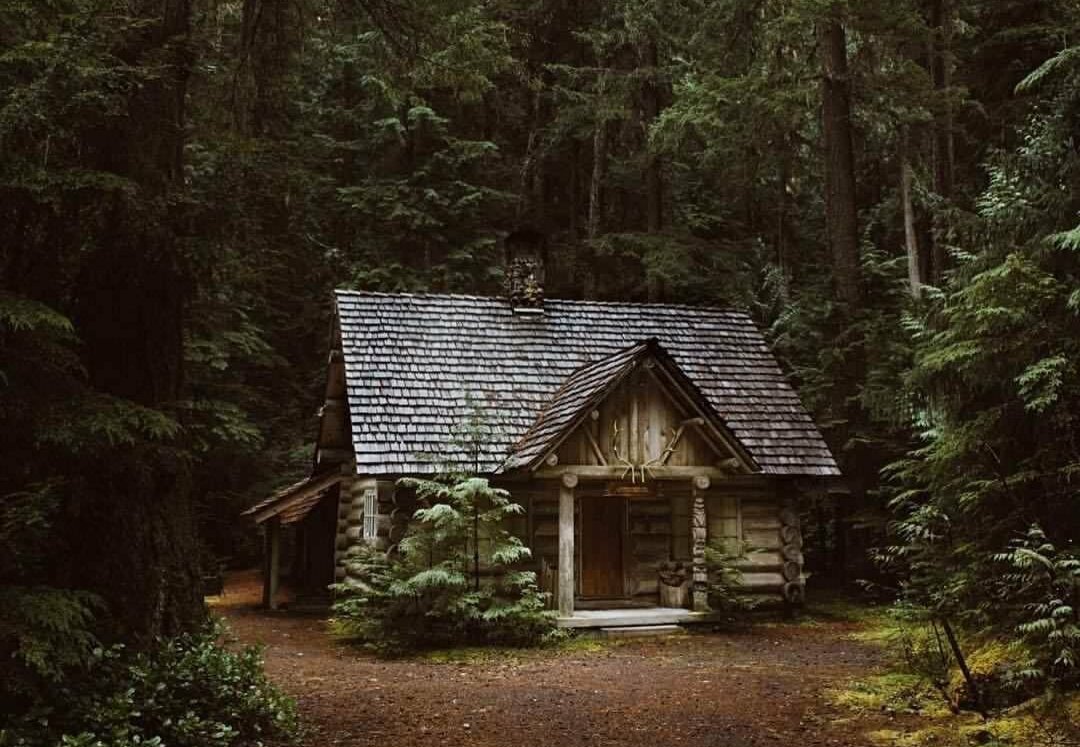 Фото из сети "Интернет".