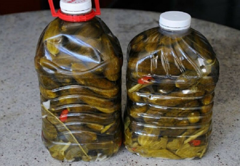 Маринуем и солим огурцы холодным способом не в банках, а в пластиковых бидонах 