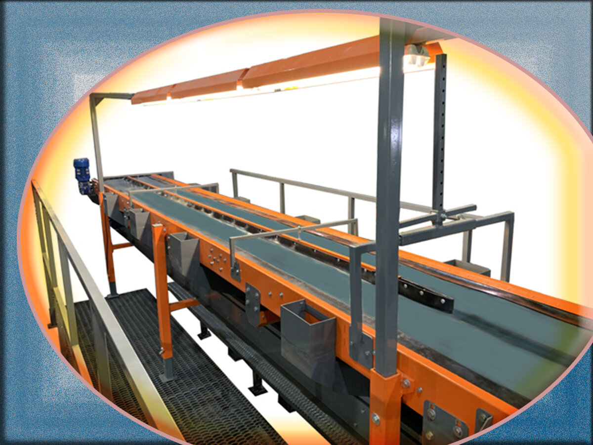 Переборочный стол для моркови