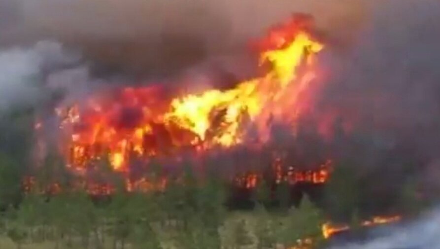 Фото: скриншот видео.
