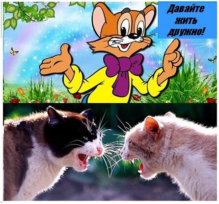Картина встречной агрессии