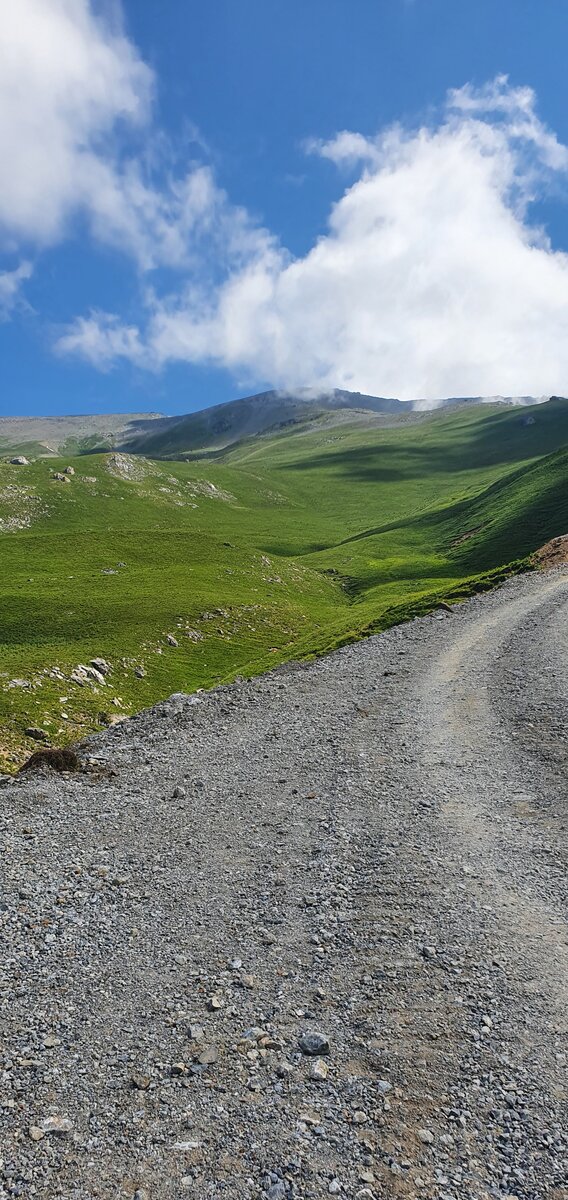 Альпийские луга))