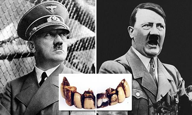 Зубы, изображенные на фото, были найдены около бункера Гитлера в апреле или мае 1945 года