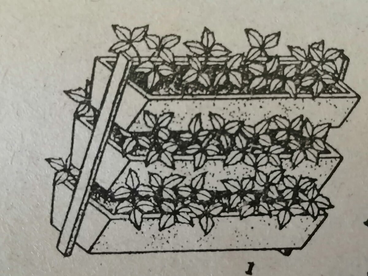 Двухсторонние ящики