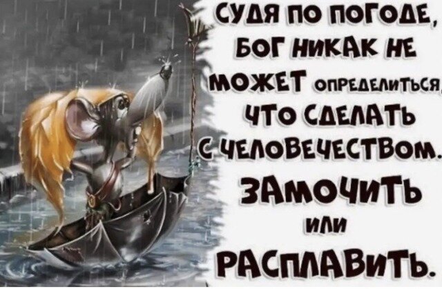 картинка из интернета