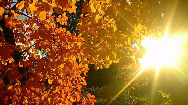 Фото: из открытых источников