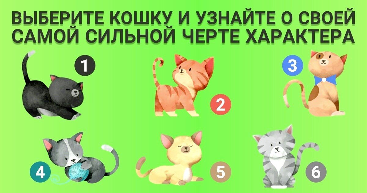 Найди свой тест. Выбери кошек. Тест выберите кошку. Выбери кота и узнай. Тест на характер