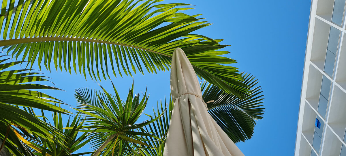 -2-2