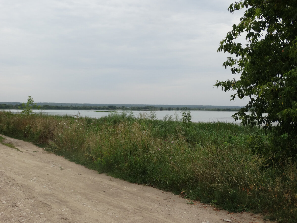 Бокинские пруды - красивые, но заброшенные водоемы. Показываю пока еще  сохранившуюся красоту | Море внутри - life & travel | Дзен