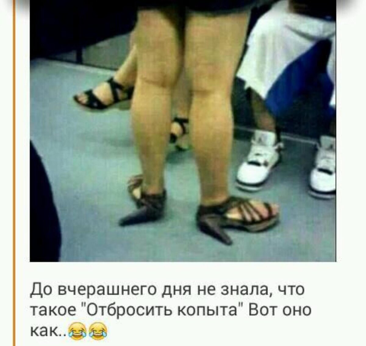 Лошадь отбросила копыта. Лошадь отбросила копыта. Лошадь откинула копыта. Я работой добита и откинула копыта. Копыта отбросить значение откуда пошло.