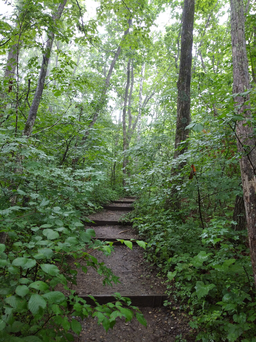 фото автора Елены М.