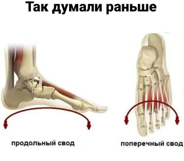 Продольно и поперечно это как