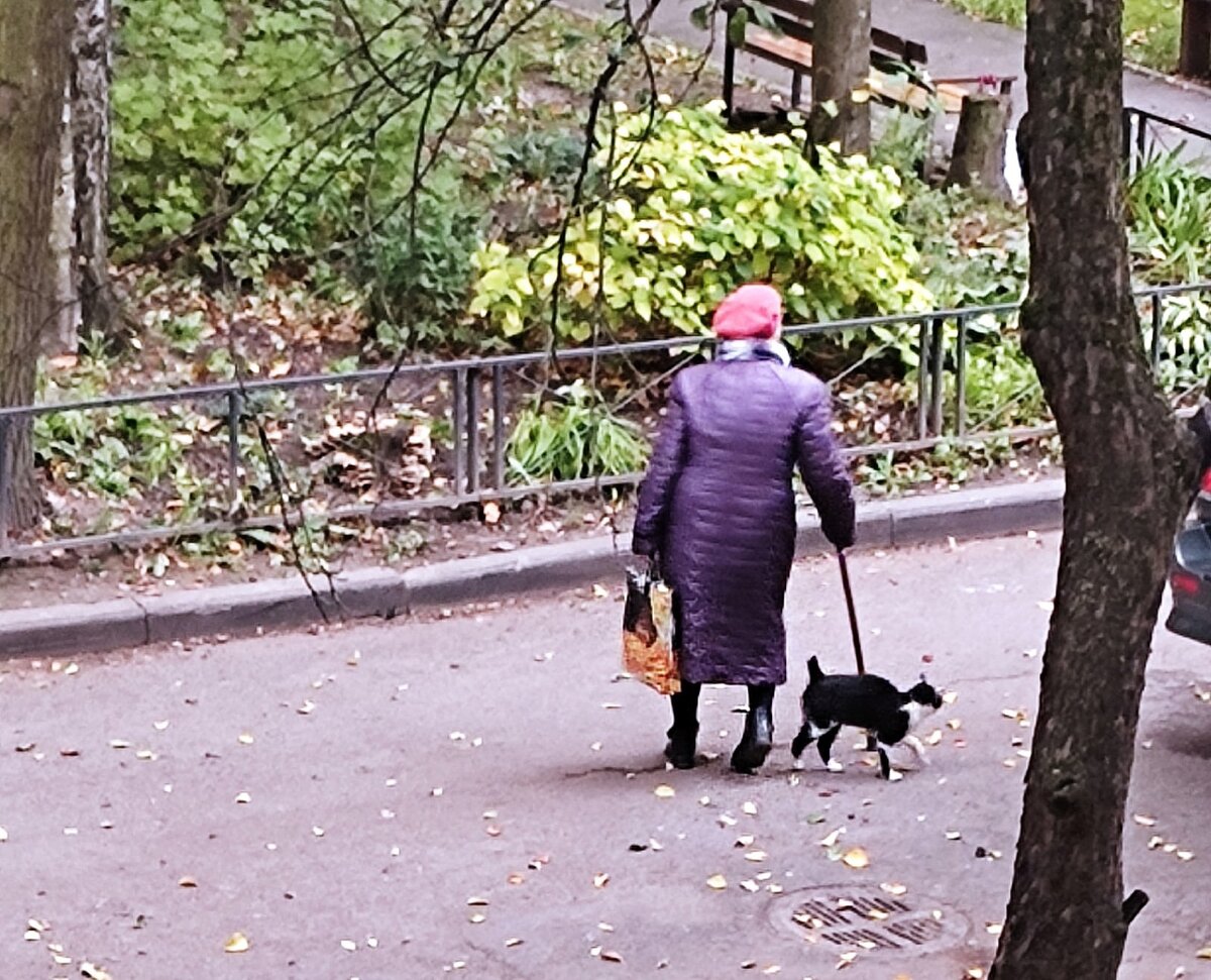 Зайка ... дома, теперь его зовут Кузя | Дорога к дому. Санкт-Петербург |  Дзен