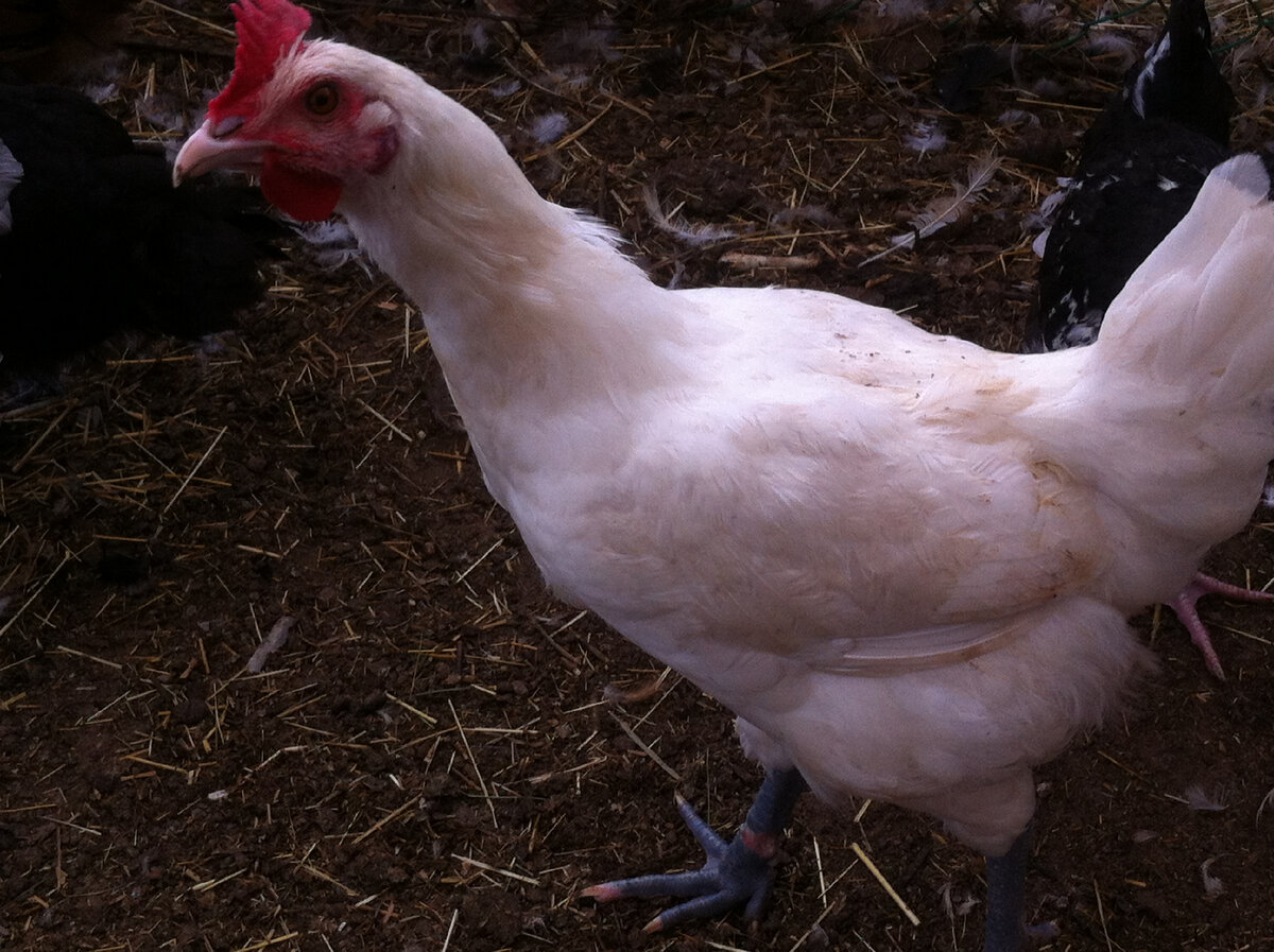 Вредные привычки? Не, не слышали про такие)))