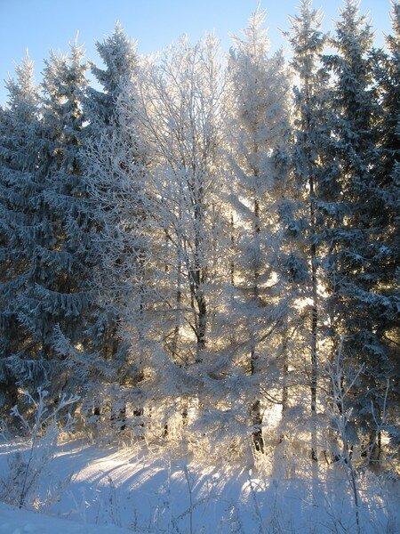 Февраль. Фото из семейного архива.