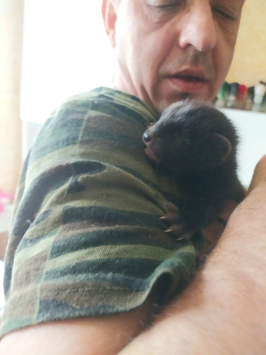 Я маленькая девочка) 