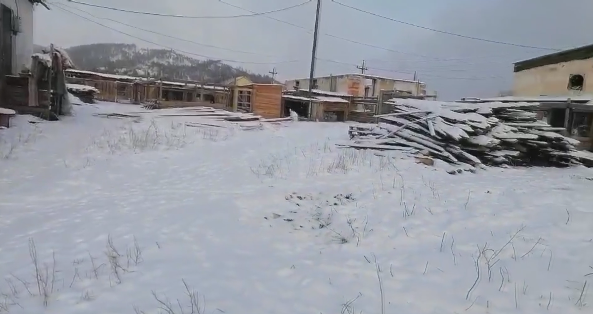 Зима расположилась надолго