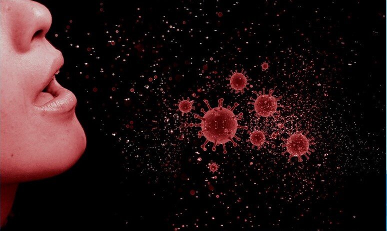 Город342 в Твиттере