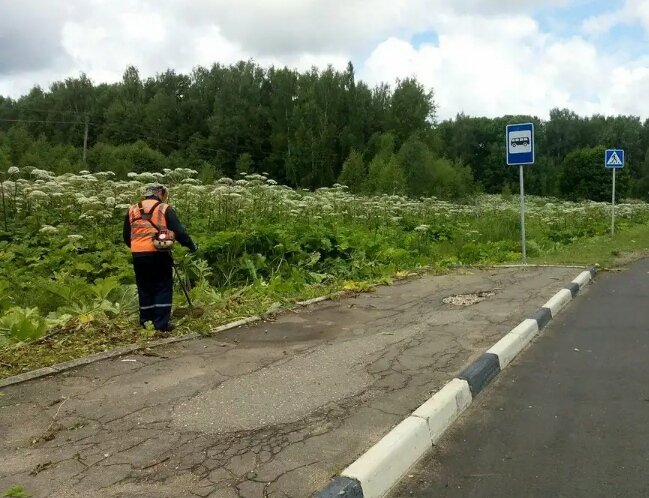 Сюда при желании и трактор может заехать. А вот где есть павильон - только вручную. (Фото взято из свободных источников в интернете.) 