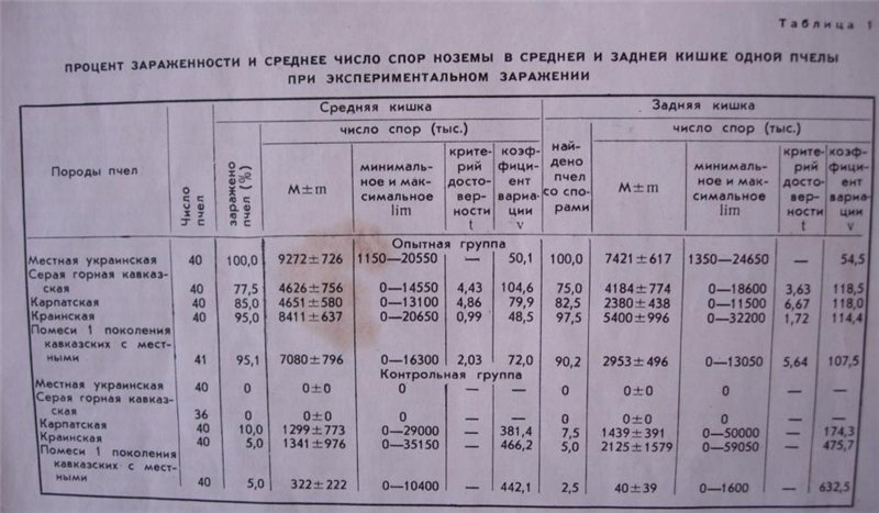 Анализы пчел. Характеристика пород пчел. Таблица пород пчел и характеристика. Сравнение пород пчел в таблице. Характеристики разных пород пчел.