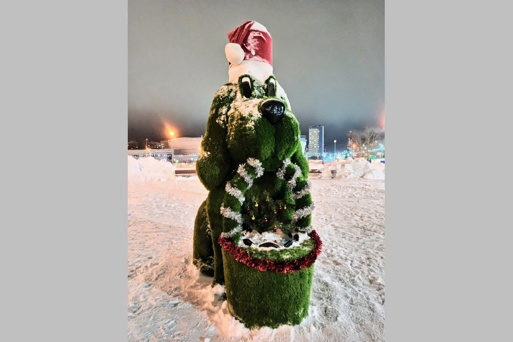 Источник: https://cherinfo.ru/news/