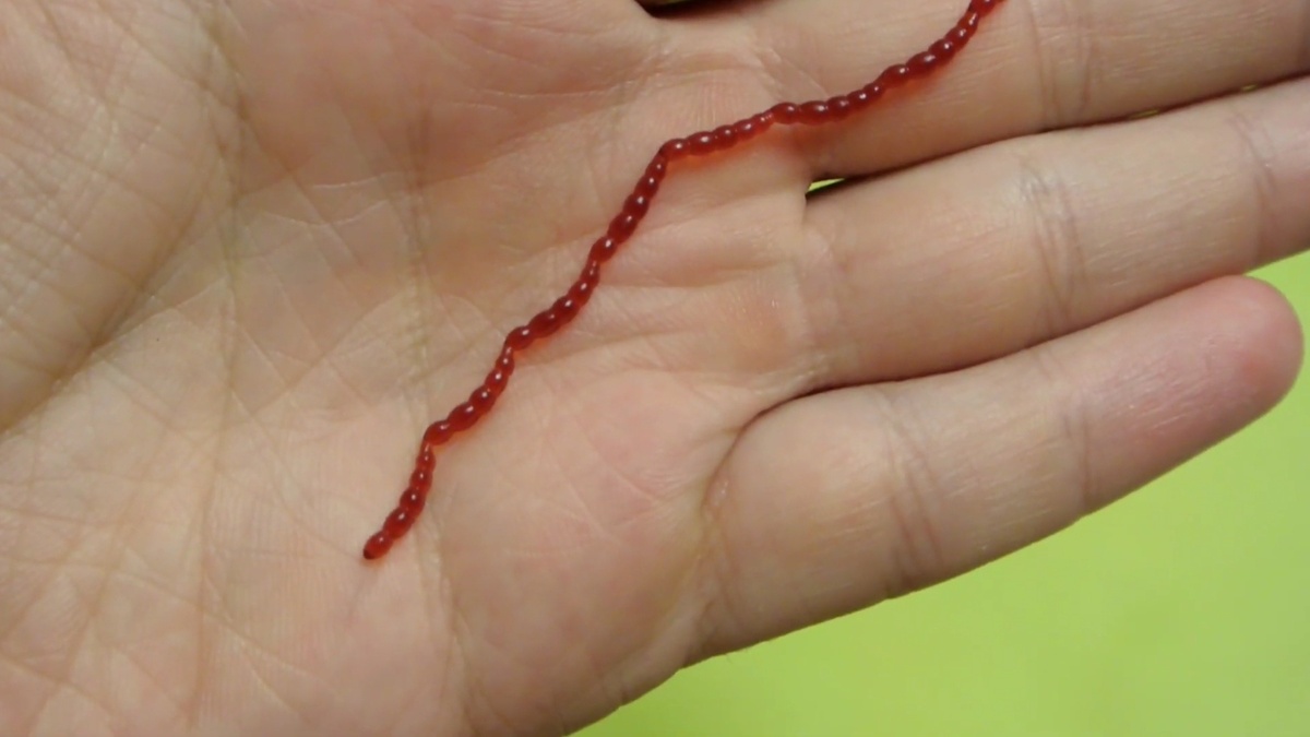 Я мотыль, мамой клянусь