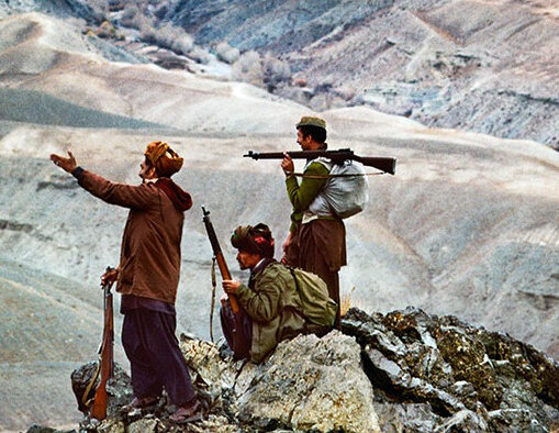 фото из интернета.