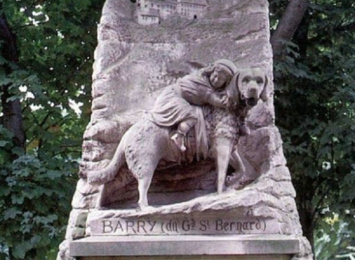 Памятник сенбернару Барри.