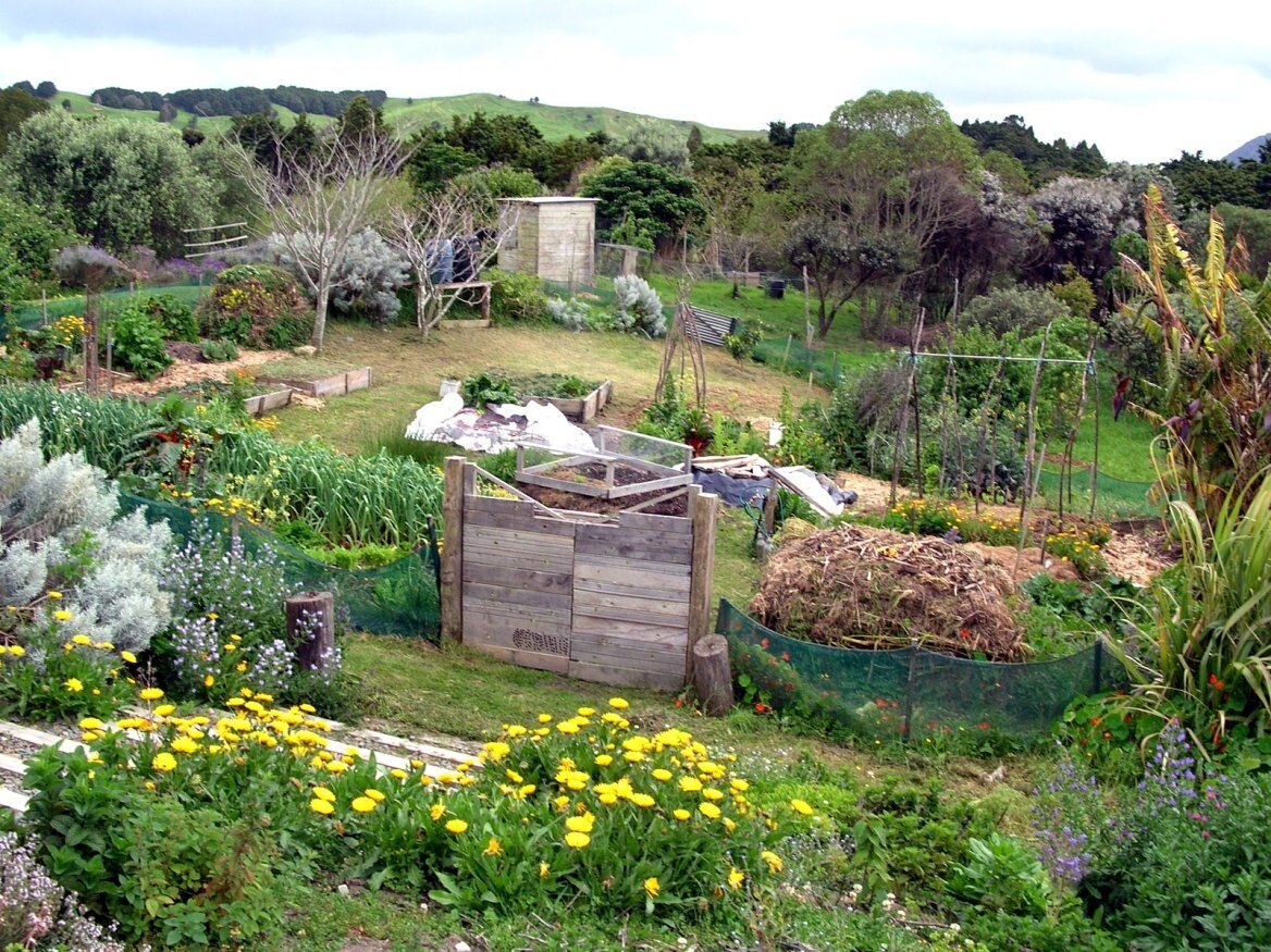 Make permaculture great again