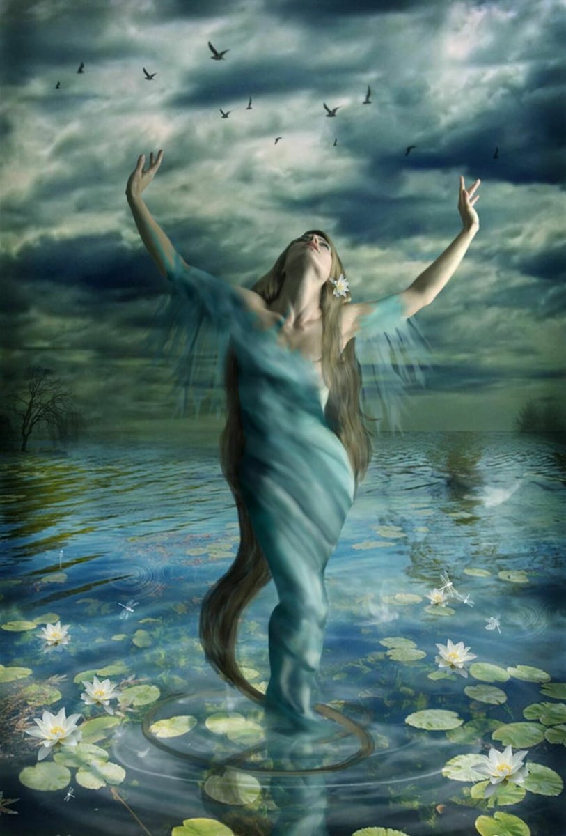 Картинка из интернета