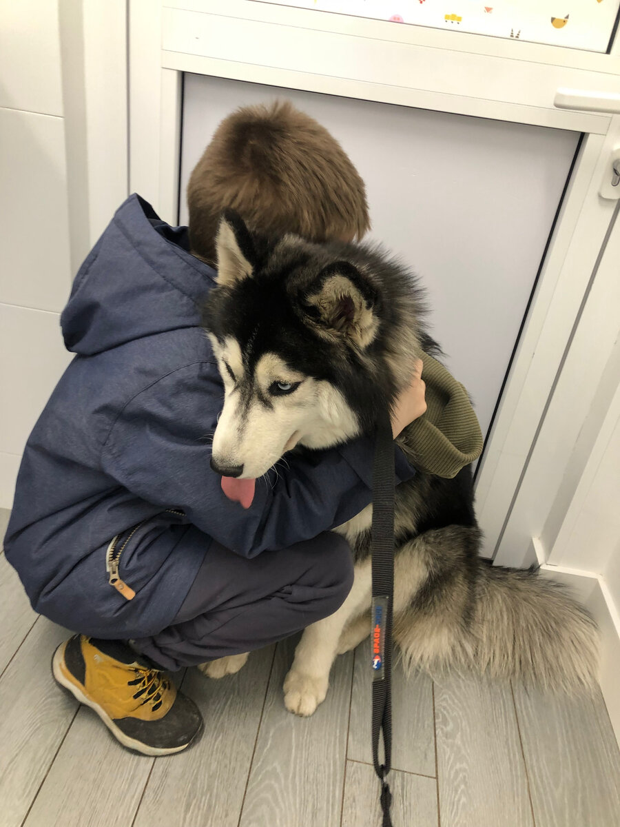 У моего лучшего друга четыре лапы!